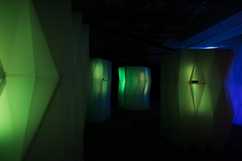 : Sound Journeys brought to life through an installation demonstrating different natural environmental habitats – a forest, a canyon and an ocean using amplified sound. 