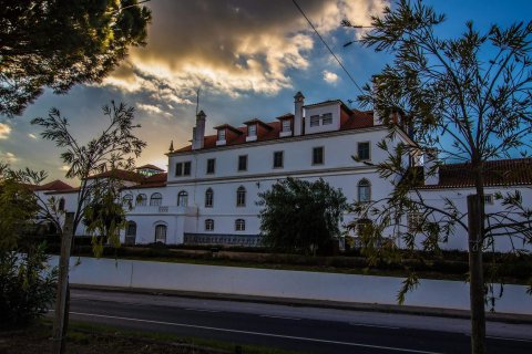 José Freitas: Casa Museu dos Patudos