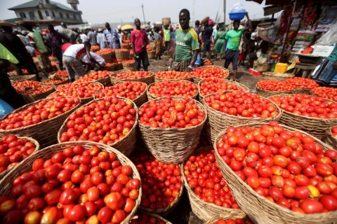 AKINTUNDE AKINLEYE: Tomatoes are displayed in baskets for sale at a local food market in Lagos December 16, 2013. REUTERS/Akintunde Akinleye (NIGRIA - Tags: SOCIETY FOOD)