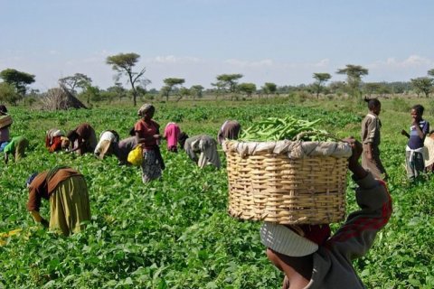 : Fober África Lusófona