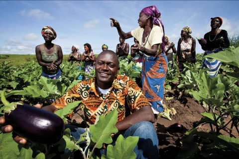 : Site Instituto de Desenvolvimento Agrário