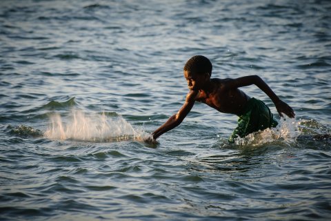 :  Angola Image Bank  