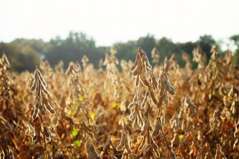 : Agricultura & Mar