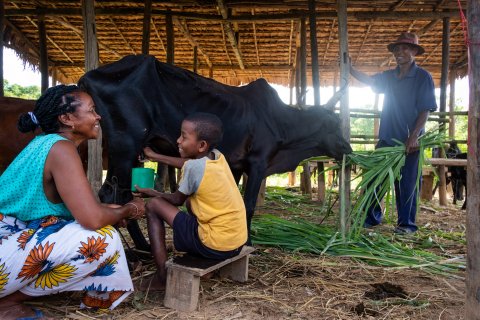 : A pilot programme introducing biogas as an alternative cooking fuel. It protects the environment against deforestation and reduces the family’s risk of respiratory diseases associated with inhalation of cooking smoke. Also, the time previously spent on ch