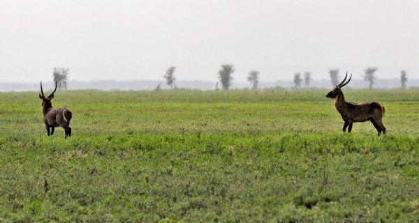 : António Silva/Lusa