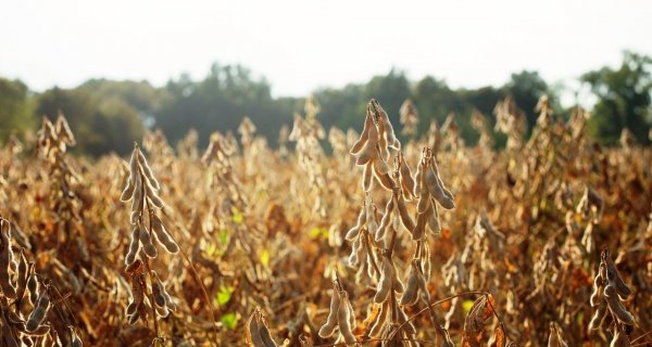 : Agricultura & Mar