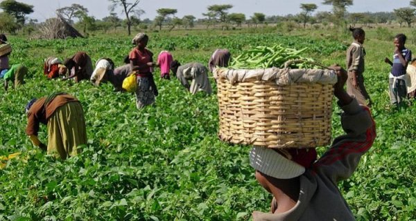 : Forbes África Lusófona