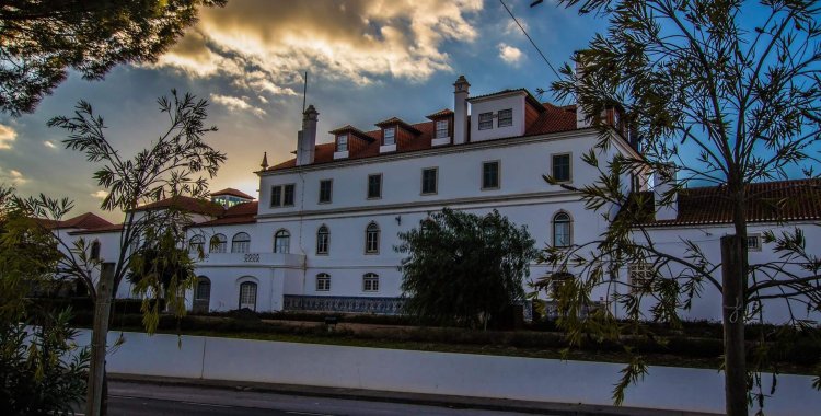 José Freitas: Casa Museu dos Patudos