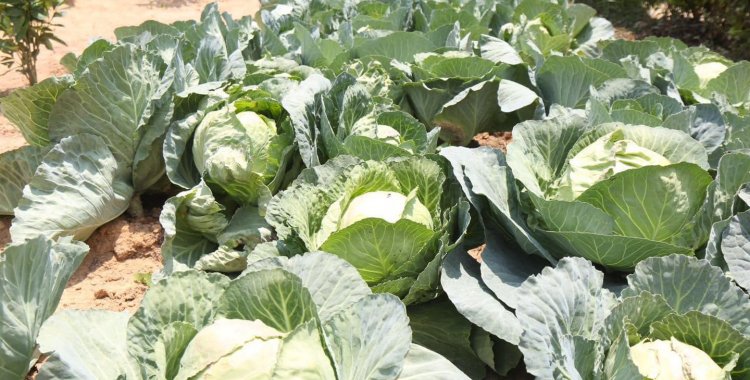 : Governo Provincial do Huambo