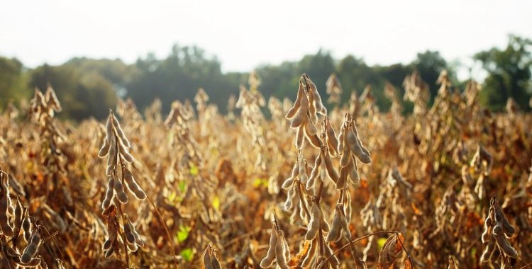 : Agricultura & Mar