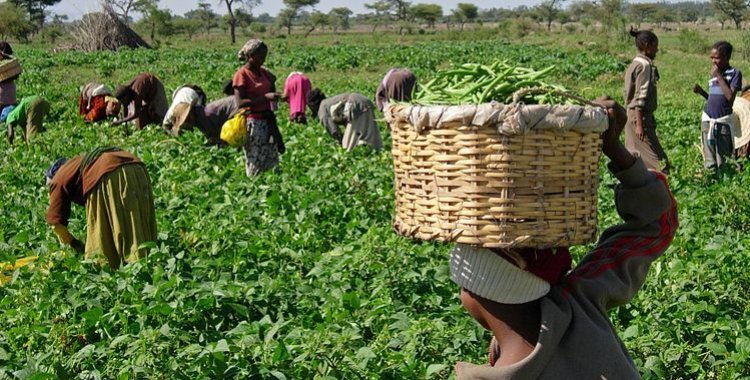 : Forbes África Lusófona