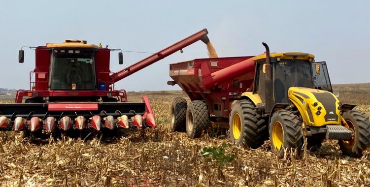 : Facebook Ministério da Agricultura e Florestas de Angola 