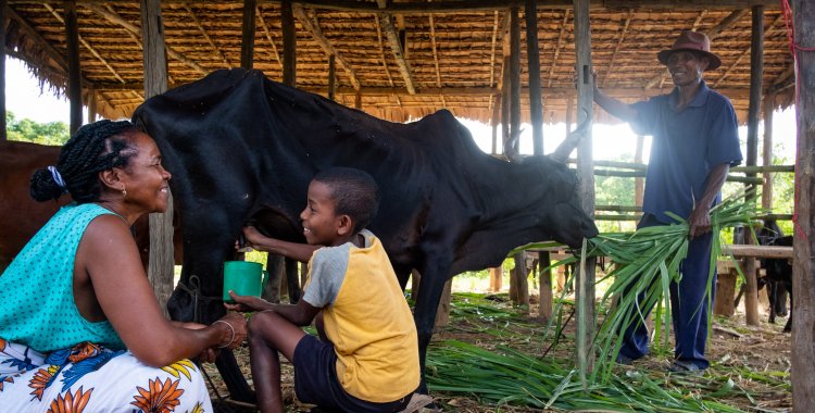 : A pilot programme introducing biogas as an alternative cooking fuel. It protects the environment against deforestation and reduces the family’s risk of respiratory diseases associated with inhalation of cooking smoke. Also, the time previously spent on ch