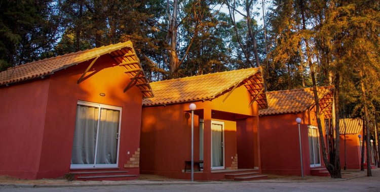: Facebook Zoom's Lodge
