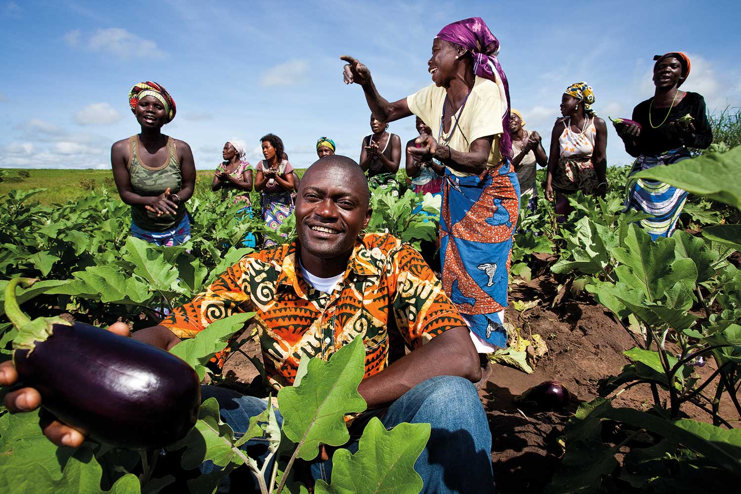 Resultado de imagem para africa agricultura