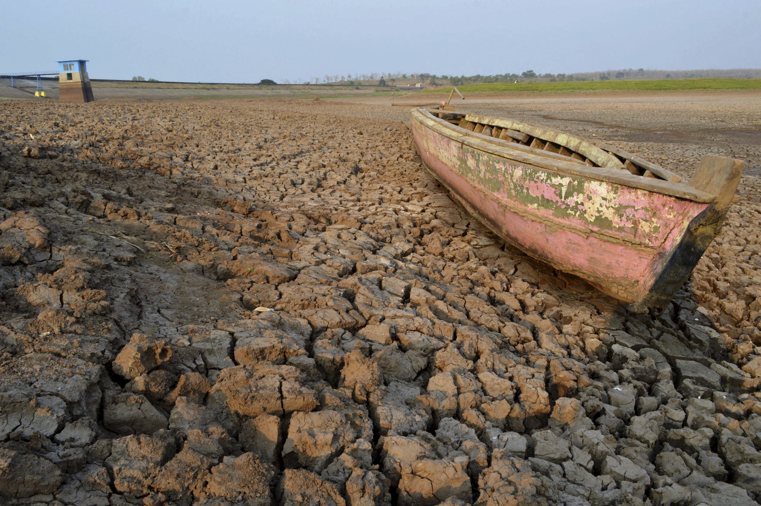 Governo cria órgão nacional para combater desertificação e efeitos da ...