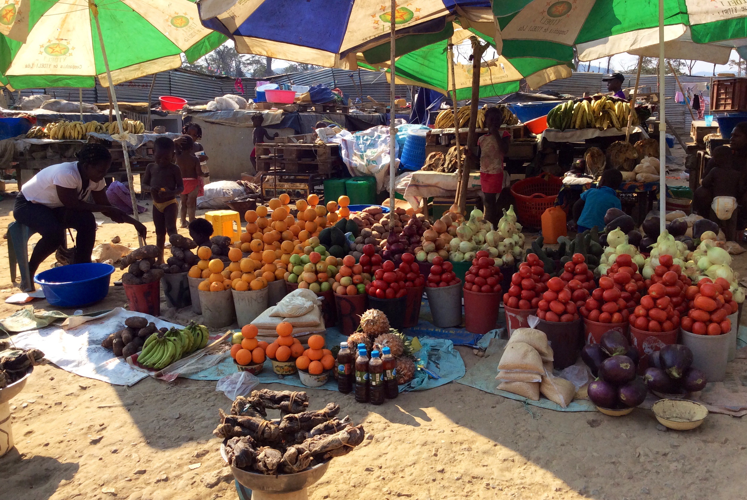 Covid19 Markets with short timetables Ver Angola Daily, the best