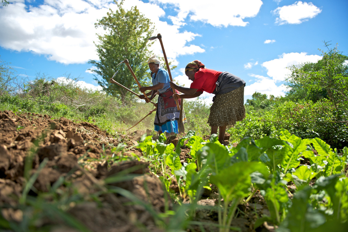 southern-peasants-go-to-school-to-learn-to-cultivate-to-appease-hunger