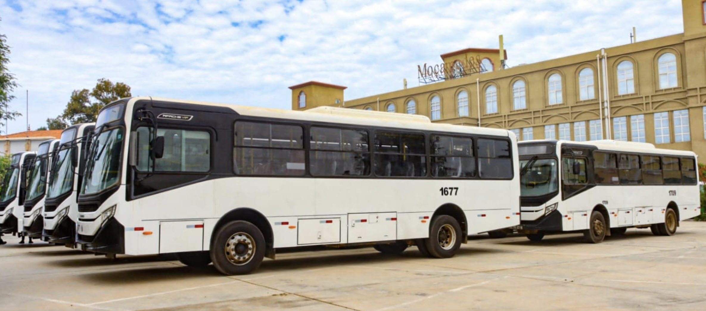 Namibe: three transport companies will ensure the transportation of fans to the Afrobasket 2025 game venue